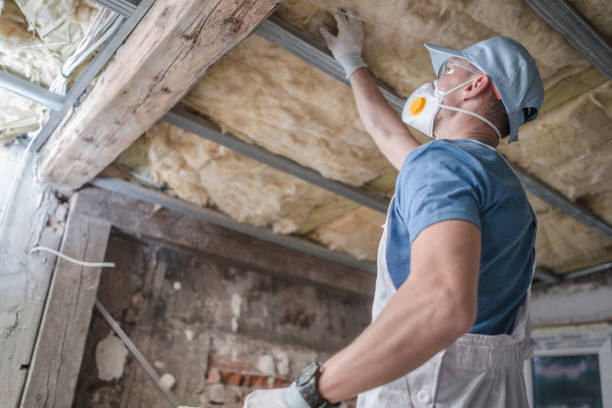 Best Insulation for Specific Applications in Milton, GA