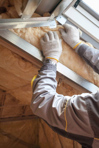 Best Geographic-Specific Insulation Services in Milton, GA