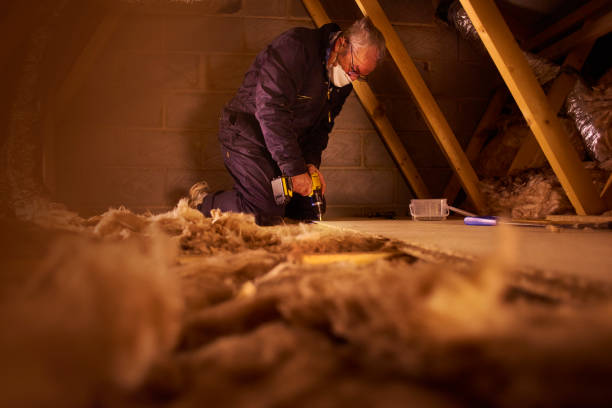 Best Specialized Insulation Services in Milton, GA